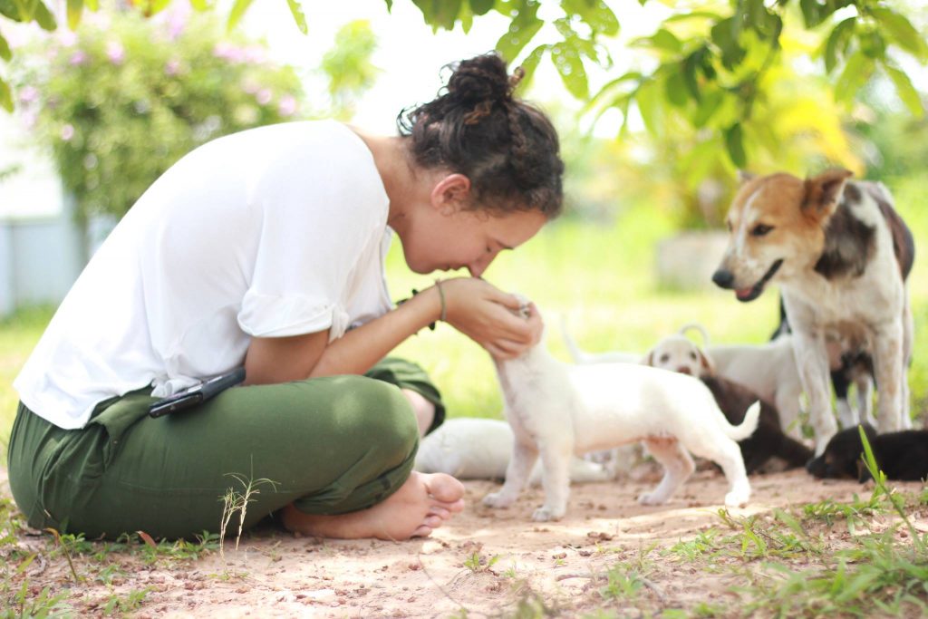 Krabi Animal Welfare – Giving Thai Dogs a Better Life